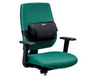 Soporte dorsal Plush Touch Fellowes