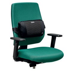 Soporte dorsal Plush Touch Fellowes