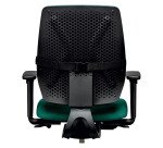 Support dorsal Plush Touch Fellowes