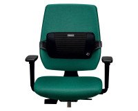 Soporte dorsal Plush Touch Fellowes
