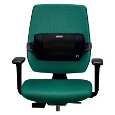 Soporte dorsal Plush Touch Fellowes