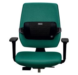 Soporte dorsal Plush Touch Fellowes