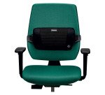 Support dorsal Plush Touch Fellowes