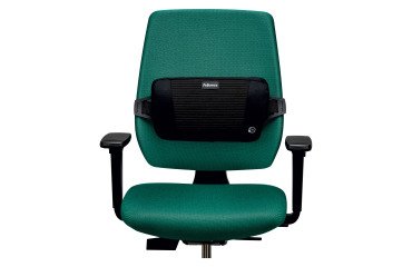 Rugsteun Plush Touch Fellowes