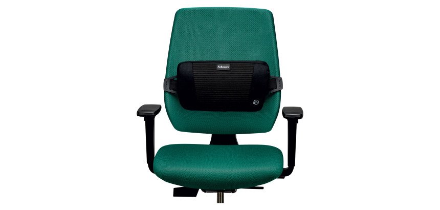 Support dorsal Plush Touch Fellowes