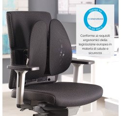 Soporte dorsal Angel Fellowes