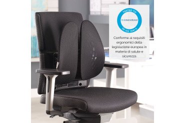 Support dorsal Angel - Fellowes