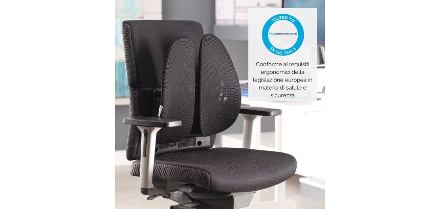 Support dorsal Angel - Fellowes