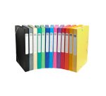 Chemise box Cartobox Exacompta 25 x 33 cm dos 2,5 cm - couleurs assorties