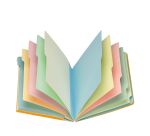 Trieur carte Extendos à fenêtres 12 divisions couleur