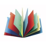 Trieur carte Extendos à fenêtres 9 divisions couleur