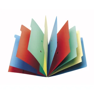 Trieur 12 compartiments en carte lustrée 5/10ème bicolore Coloris Aléatoire  ELBA - La Poste