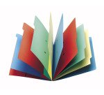 Trieur carte Extendos à fenêtres 9 divisions couleur