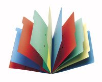 Trieur carte Extendos à fenêtres 9 divisions couleur