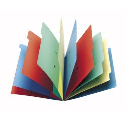 Trieur carte Extendos à fenêtres 9 divisions couleur