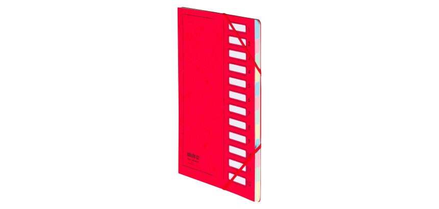 Trieur carte Extendos à fenêtres 12 divisions couleur