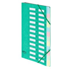 Trieur carte Extendos à fenêtres 24 divisions couleur