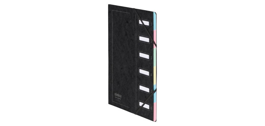 Trieur carte Extendos à fenêtres 6 divisions couleur