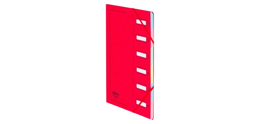 Trieur carte Extendos à fenêtres 6 divisions couleur