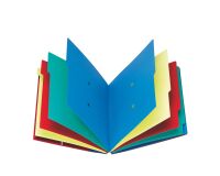 Trieur carte Extendos à fenêtres 6 divisions couleur