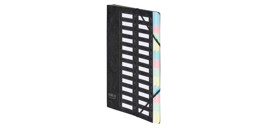 Carpeta clasificadora Extendos con 24 divisiones color