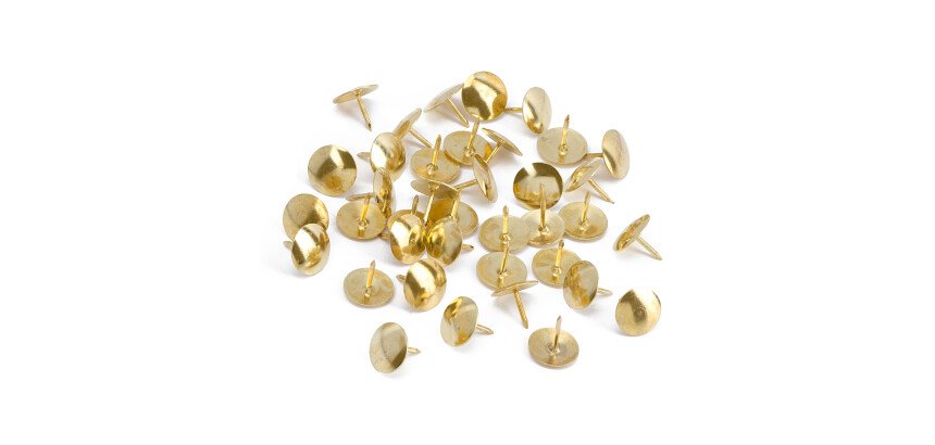 Punaises laitonnées - Boîte de 100