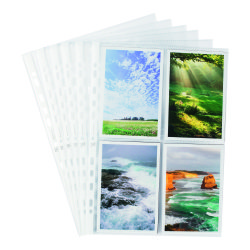 Package of 10 perforated sleeves Elba for pictures smooth polypropylene 8/100e - 24 x 31cm