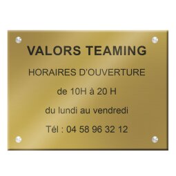 Plaque signalétique personnalisable Plexi Color aspect brillant - 6 dimensions