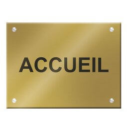 Plaque signalétique personnalisable Plexi Color aspect brillant - 6 dimensions