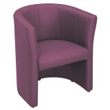 Sillones Premium 1 plaza vinilo