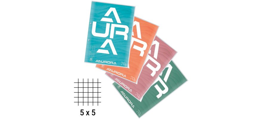 Bloc de cours A4 210 x 297 mm - quadrillé 5 x 5 - 100 feuilles