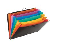 Trieur plastique Viquel Rainbow à soufflet 8 divisions noir