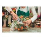 Agrafeuse pince Rapid SP19 – Capacité de 20 feuilles.