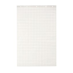 Blok 48 vellen wit geruit papier voor flip-over Exacompta 65 x 100 cm