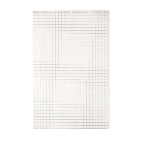 Bloc paperboard 48 feuilles blanches quadrillées Exacompta 63 x 98 cm