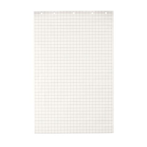 Blok 48 vellen wit geruit papier voor flip-over Exacompta 65 x 100 cm