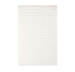 Blok 48 vellen wit geruit papier voor flip-over Exacompta 65 x 100 cm