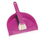 Balayette et pelle de ramassage