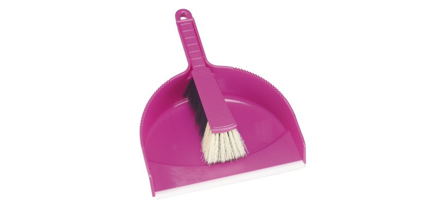 Balayette et pelle de ramassage