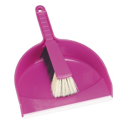 Balayette et pelle de ramassage