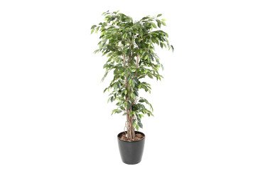 Artificial plant for inside Ficus Liana + round pot anthracite grey.