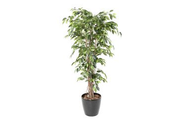 Kunstplant voor binnen Ficus Liana + ronde pot antracietgrijs.