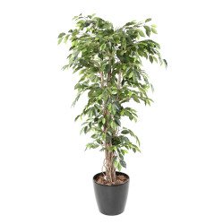 Kunstplant voor binnen Ficus Liana + ronde pot antracietgrijs.