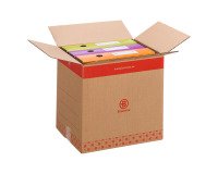 Scatola per trasloco Bruneau a onda singola, 35,5 x 28,5 x 34 cm