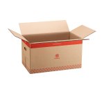 Caja traslado Bruneau 550 x 330 x 300 mm. Doble canal con asas