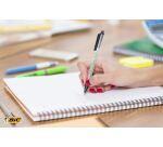 Stylo bille Bic Ecolution Round Stic rétractable