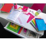 Cahier piqué Clairefontaine Mimesys - 17 x 22 cm - grands carreaux - 96 pages