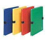 Chemise extensible carton avec rabat Exacompta dos 12 cm - couleurs assorties