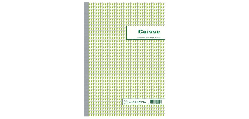 Manifold Exacompta-Kassenbuch selbstdurchschreibend A4 50 Seiten Doppelkopien