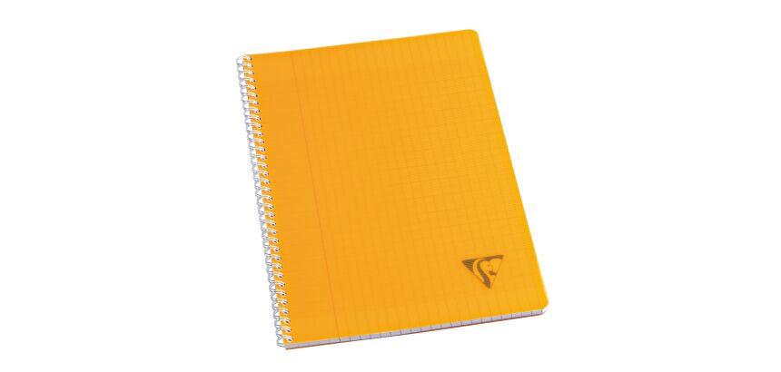 Cahier spirales Clairefontaine Linicolor - A4 21 x 29,7 cm - grands carreaux - 100 pages